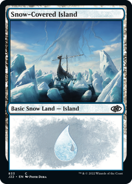 Picture of Snow-Covered Island              
